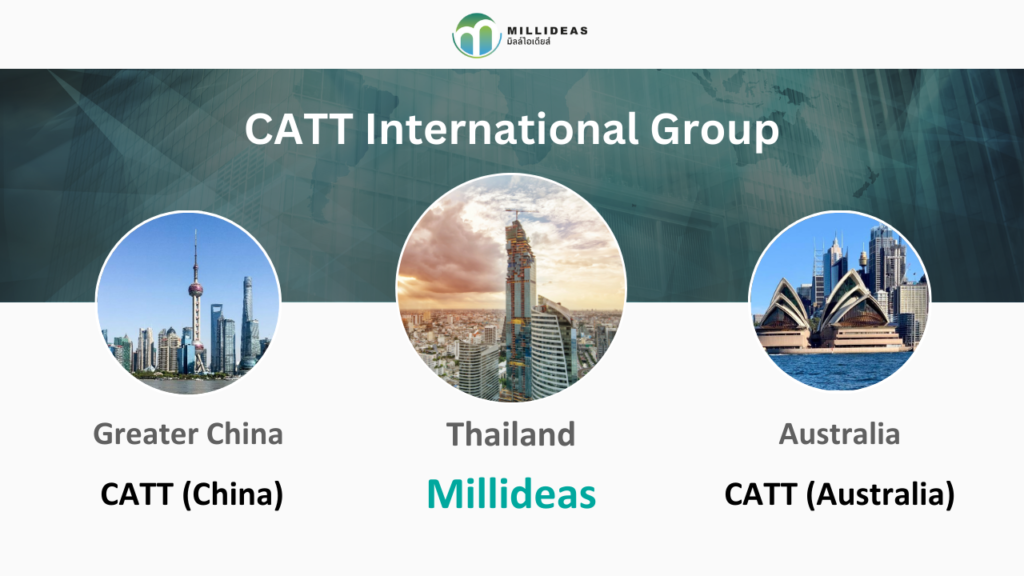 millideas & CATT international 